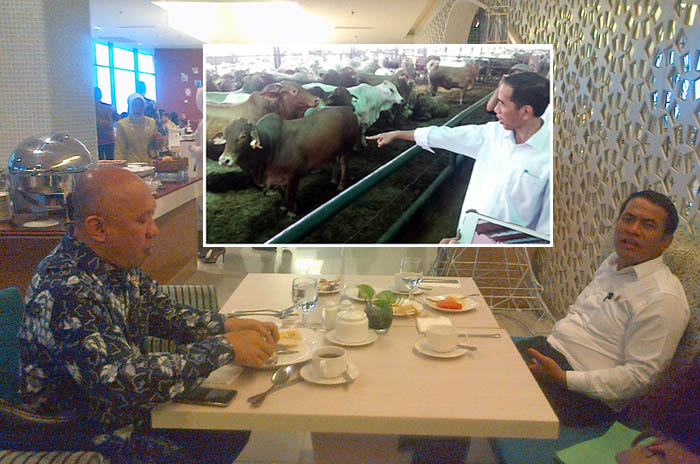 Presiden Jokowi Minta Kementan Kembangkan `Lahan Angon`Ternak Sapi